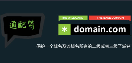网站很多个二级子域名，怎么选择https证书比较划算