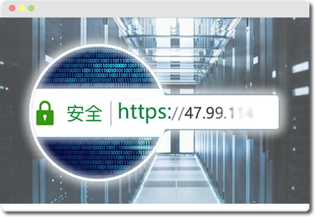 IP 的 https证书实现