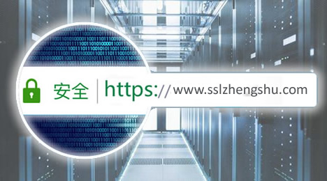 个人及小微企业网站申请这种SSL证书，价格便宜
