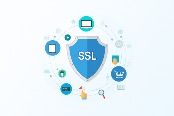 热门SSL证书建议