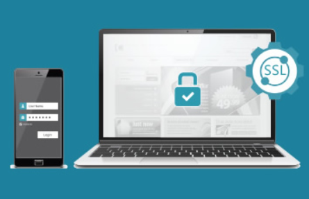 TrustAsia DV Wildcard SSL Certificates多少钱？